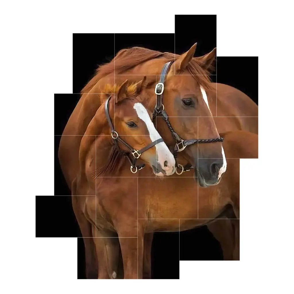 Puz - Horse 06 - 18pcs