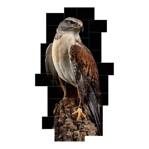 Puz - Falcon 02 - 35pcs