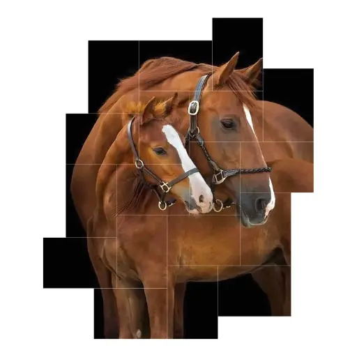 Puz - Horse 06 - 18pcs